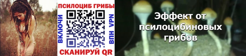 Псилоцибиновые грибы Cubensis Сланцы