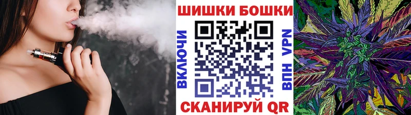 Конопля планчик  где продают   Сланцы 